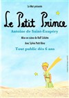 Le Petit Prince - Théâtre du Cours