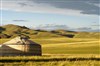 Visite guidée : Exposition "La Mongolie entre deux ères, 1912-1913" et magnifiques jardins du Musée Albert-Kahn - Albert-Kahn, musée et jardins