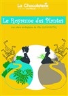 Le Royaume des Plantes - La Chocolaterie