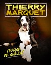 Thierry Marquet dans Foutage de gueule ? - Le Pont de Singe