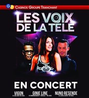 Concert Les Voix de la Télé Casino Flamingo Affiche