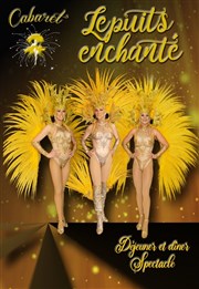 Déjeuner ou dîner-spectacle Cabaret Le Puits Enchant Affiche