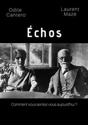 Echos Improvidence Affiche