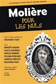 Molière pour les nuls Thtre Montmartre Galabru Affiche