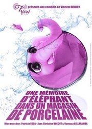 Une mémoire d'éléphant dans un magasin de porcelaine Le petit Theatre de Valbonne Affiche