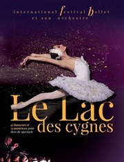 Le lac des cygnes | Montluçon L'Athanor Affiche