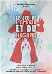 Le jeu de l'amour et du hasard Thtre Lulu Affiche