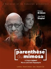 La parenthèse du mimosa L'Optimist Affiche