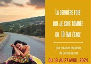 La dernière fois que je suis tombée du 10ème étage Grenier Thtre Affiche