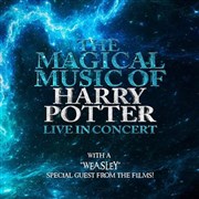 The magical music of Harry Potter live in concert | Colmar Halle aux vins - Parc des expositions Affiche