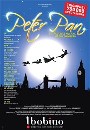 Peter Pan, le spectacle musical