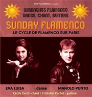 Sunday Flamenco Pniche Antipode Affiche