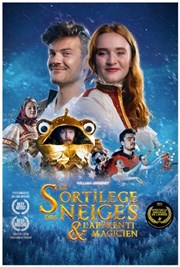 Le sortilège des neiges et l'apprenti magicien Le Summum Affiche