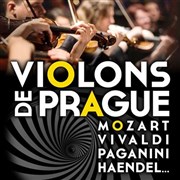 Violons de Prague | Strasbourg Eglise Saint Thomas Affiche