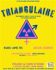 Triangulaire La Tache d'Encre Affiche