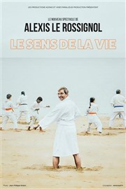 Alexis Le Rossignol dans Le sens de la vie Thtre Fmina Affiche