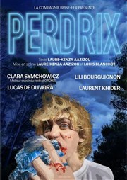 Perdrix Au Palace - Salle 5 Affiche