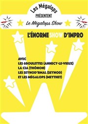 Le Mégaloshow ! Salle Pierre Lamy Affiche