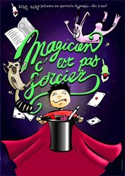 Magicien, c'est pas sorcier Akton Thtre Affiche