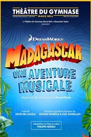 Madagascar : Une aventure musicale