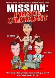 Mission : Prince charmant La Comdie de Nmes Affiche