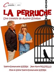 La perruche Ple Culturel Jean Ferrat Affiche