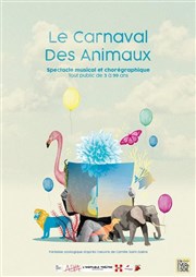 Le Carnaval des Animaux Espace Alya - Salle A Affiche