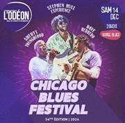 54ème Festival Chicago Blues L'Odon Affiche