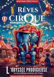 Le Cirque Classico dans Rêves de Cirque - Le Havre Chapiteau du Cirque Thtre Classico au Havre Affiche