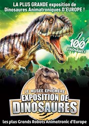 Le Musée Ephémère® : exposition de dinosaures à Montbéliard L'Axone Affiche