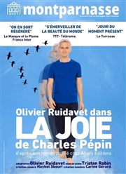 La Joie Thtre du Petit Montparnasse Affiche