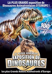 Le Musée Éphémère® : Exposition de dinosaures à Gardanne La halle de Gardanne Affiche