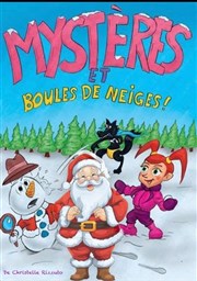 Mystères et boules de neiges Le Darcy Comdie Affiche