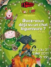 Avez-vous déjà vu un chat légumivore ? Thtre Pixel Affiche