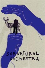 Surnatural Orchestra Studio de L'Ermitage Affiche