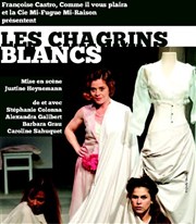 Les chagrins blancs Thtre Aliz Affiche