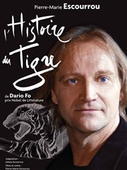 L'histoire du tigre Thtre Portail Sud Affiche