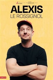 Alexis Le Rossignol dans Le sens de la vie Thtre  l'Ouest Affiche