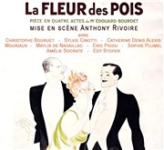 La Fleur des Pois Thtre de Nesle - grande salle Affiche