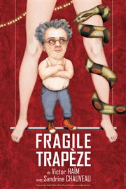 Fragile trapèze Thtre de la Lib Affiche