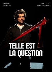 Telle est la Question Albatros Thtre - Ct Rue Affiche