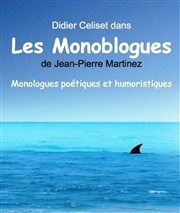 Didier Celiset dans les Monoblogues Thatre Pandora Affiche