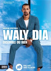 Waly Dia dans Ensemble ou rien Palais des Glaces - grande salle Affiche