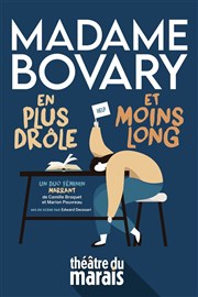 Madame Bovary en plus drôle et moins long Thtre du Marais Affiche