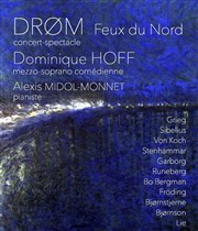 DRØM - Lumières du Nord Studio Le Regard du Cygne Affiche