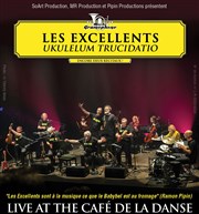 Les Excellents dans Ukulelum Trucidato Caf de la Danse Affiche