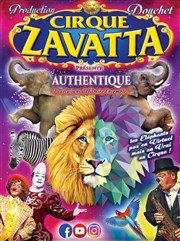 Cirque Nicolas Zavatta Douchet | Nantes Chapiteau Nicolas Zavatta Douchet  Vertou Affiche