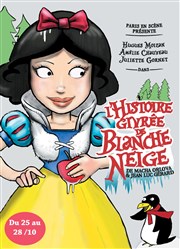 L'histoire Givrée de Blanche Neige Thtre Le Petit Manoir Affiche