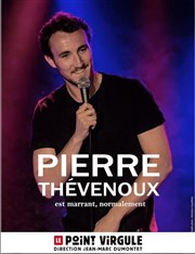 Pierre Thevenoux dans Pierre Thevenoux est marrant, normalement Le Point Virgule Affiche