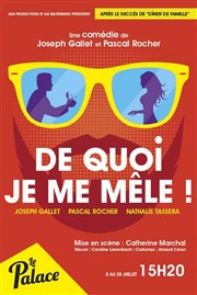 De quoi je me mêle ! Thtre le Palace Salle 5 Affiche